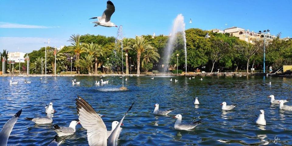 Torrevieja Experience Mar Azulアパートメント エクステリア 写真